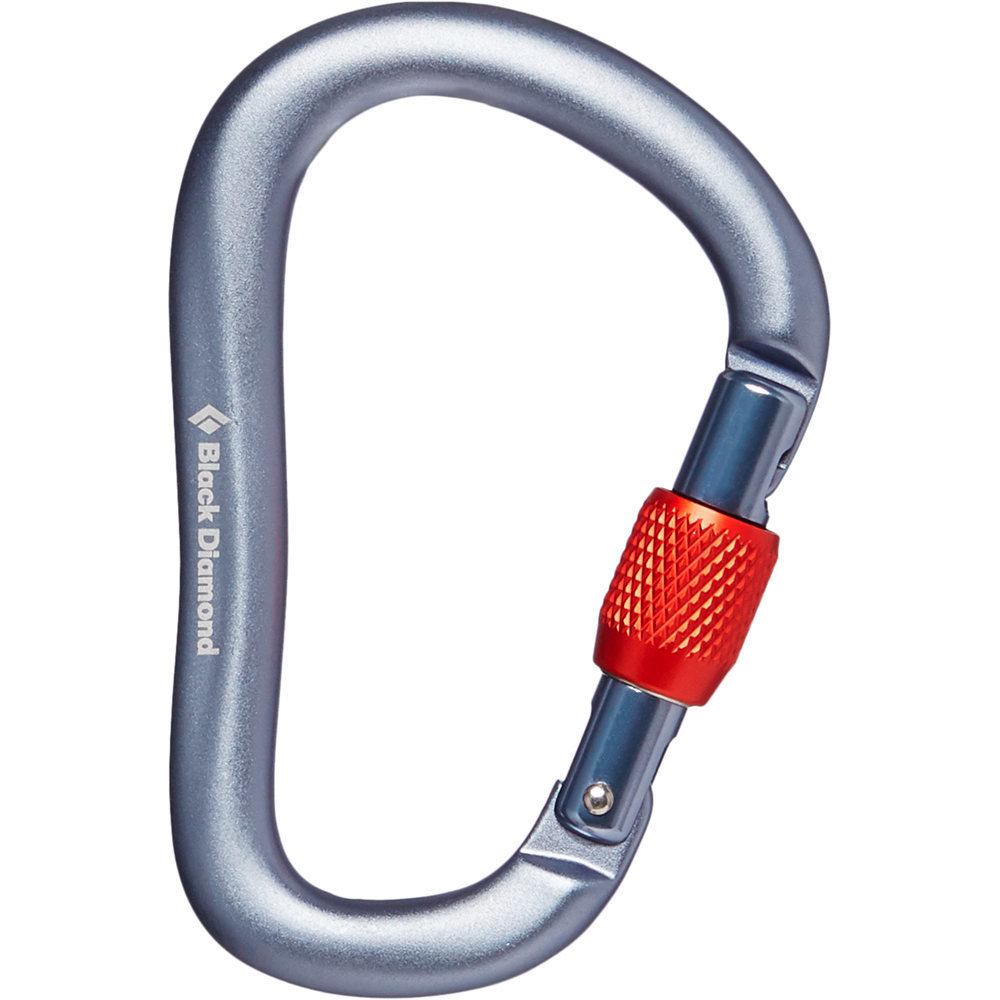 Black Diamond mosquetón seguridad ROCKLOCK SCREWGATE CARABINER GR vista frontal