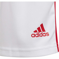 adidas pantalones cortos futbol niño Squadra 21 04