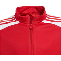 adidas sudadera entrenamiento fútbol niño Squadra 21 vista detalle