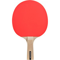 Dunlop palas ping-pong MATCH (2 PALAS) 01