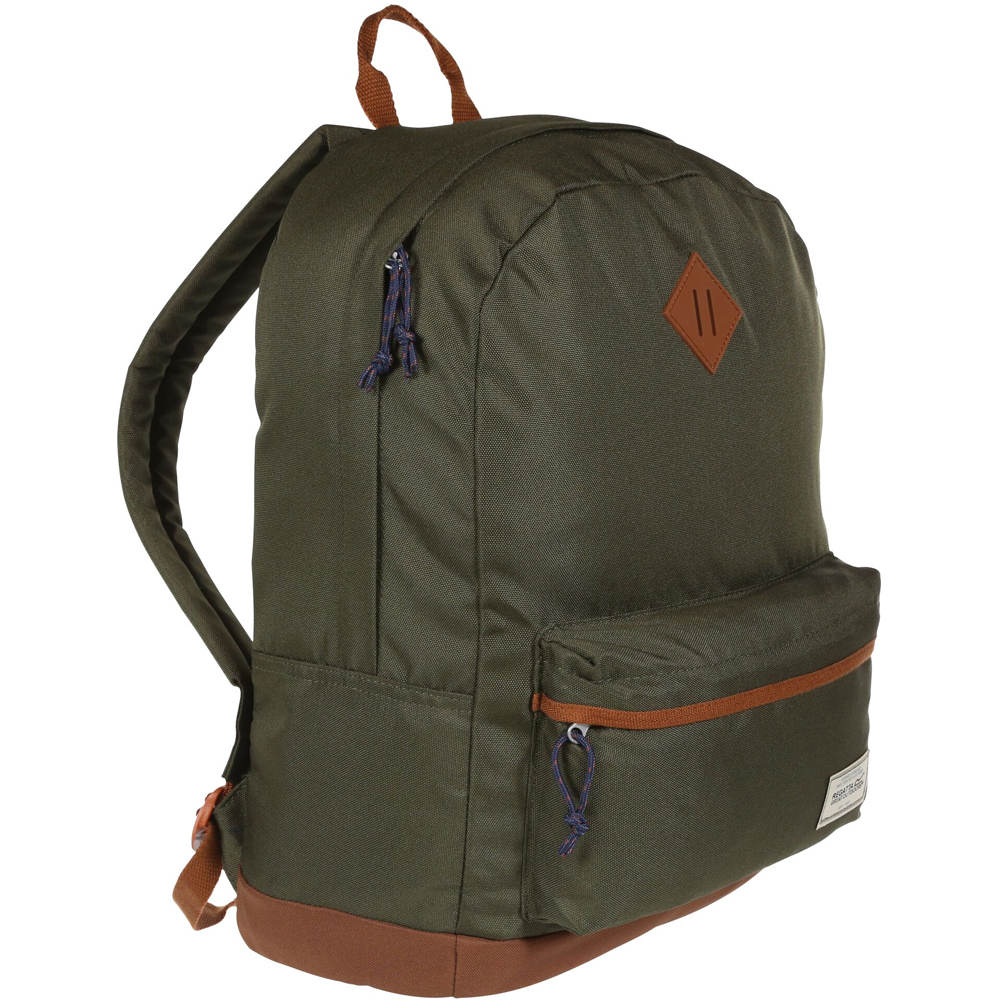 Regatta mochila montaña Stamford 20L Bck vista frontal