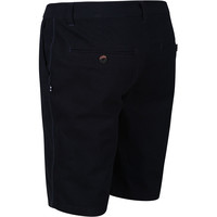 Regatta pantalón corto montaña hombre Salvator Short vista trasera