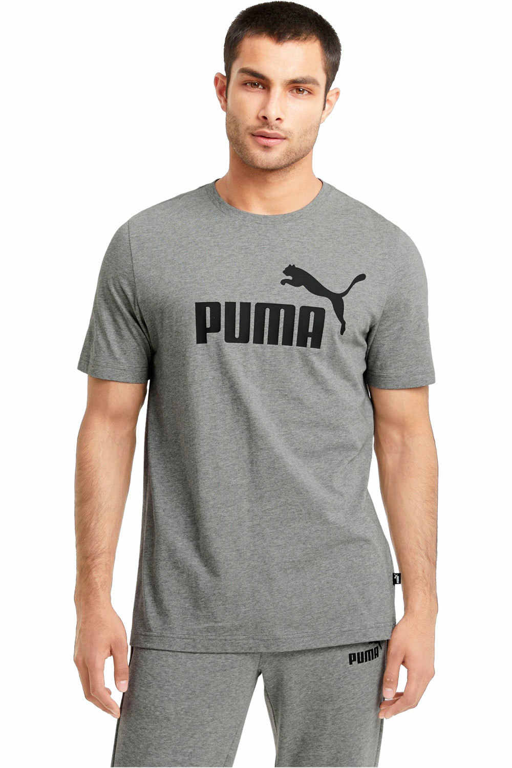 Puma camiseta manga corta hombre ESS LOGO TEE vista frontal