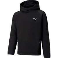 Puma sudadera niño Evostripe Hoodie B vista frontal