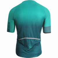 Spiuk maillot manga corta hombre MAILLOT M/C FS STAR HOMBRE VERDE vista trasera