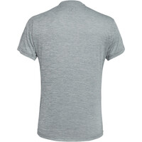 Salewa camiseta montaña manga corta hombre PUEZ MELANGE DRY M S/S TEE vista trasera