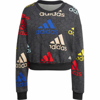 adidas sudadera mujer Essentials Multi-Coloured Logo 04