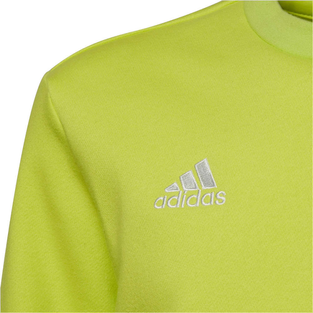 adidas sudadera niño Entrada 22 vista detalle