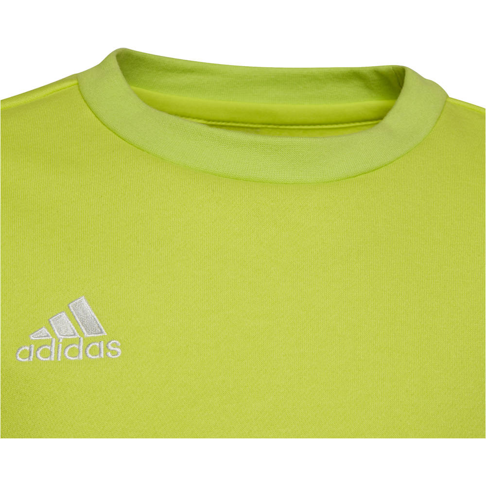 adidas sudadera niño Entrada 22 03