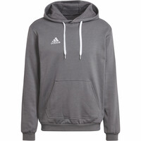 adidas sudadera hombre Entrada 22 04