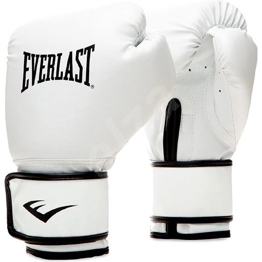 Everlast guantes boxeo CORE 2 TRAINING GLOVES vista frontal