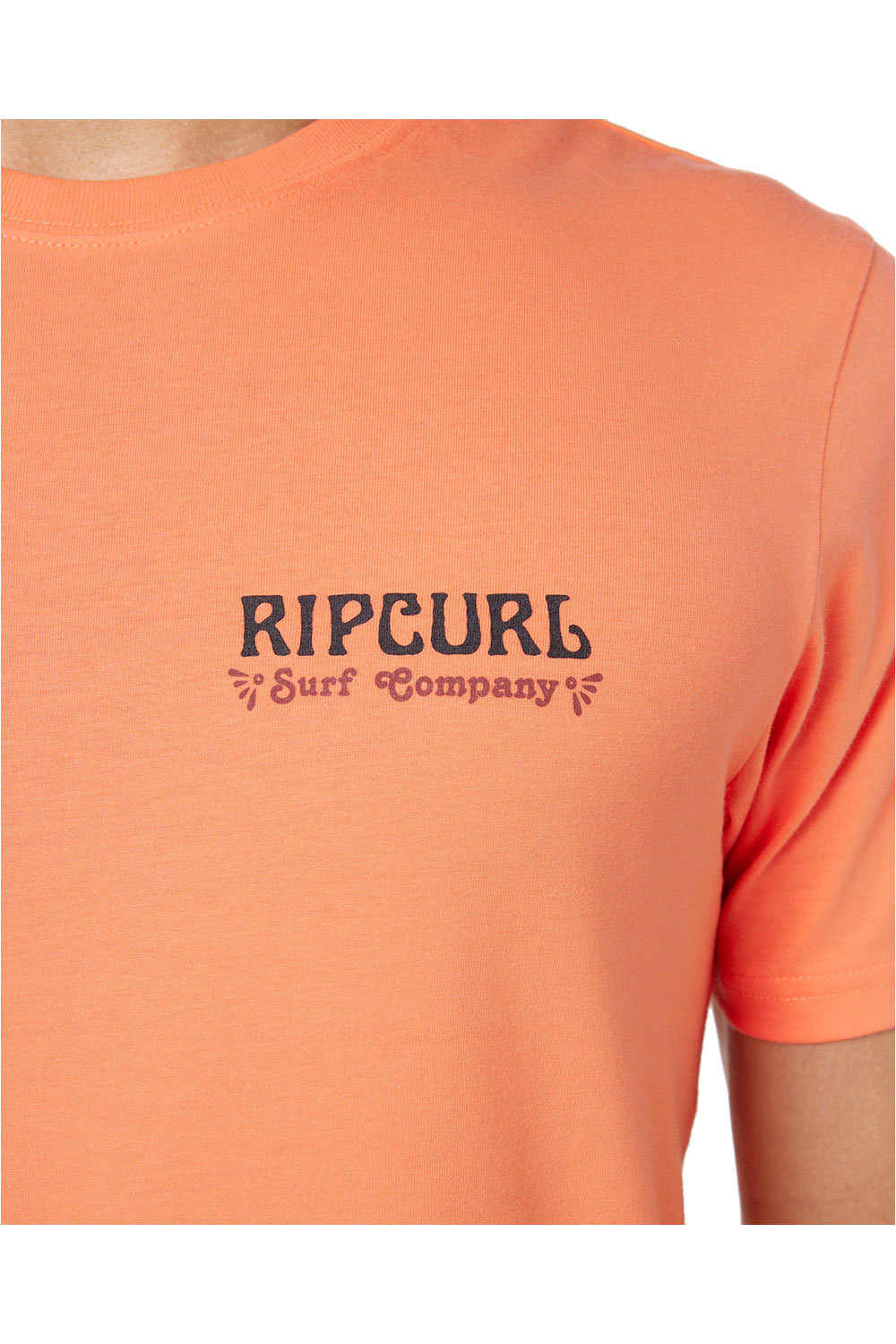 Rip Curl camiseta manga corta hombre F&B TEE 03