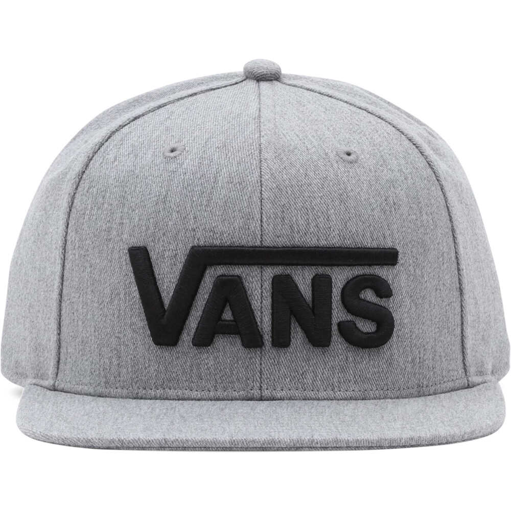 Vans visera lona CLASSIC VANS SB-B vista frontal