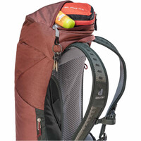 Deuter mochila montaña AC Lite 16 10