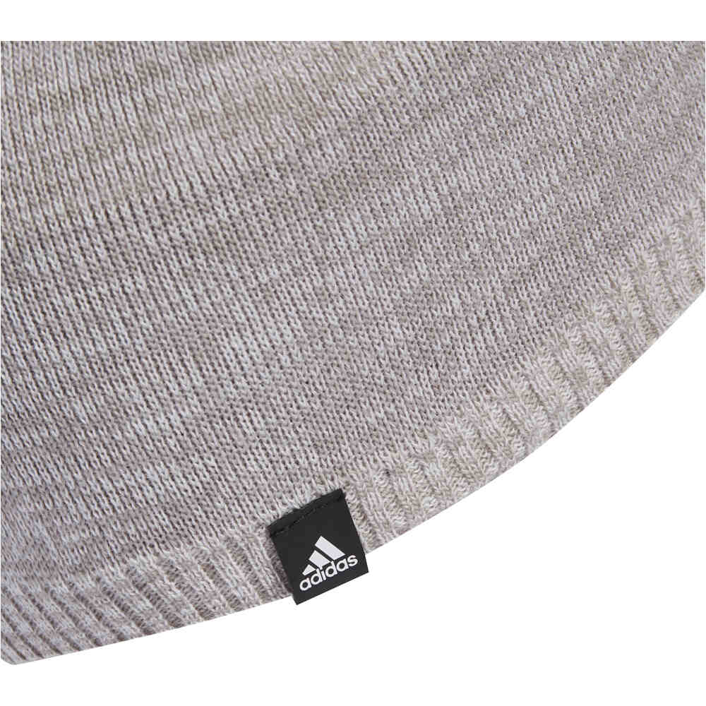 adidas gorro esquí hombre DAILY BEANIE LT vista detalle