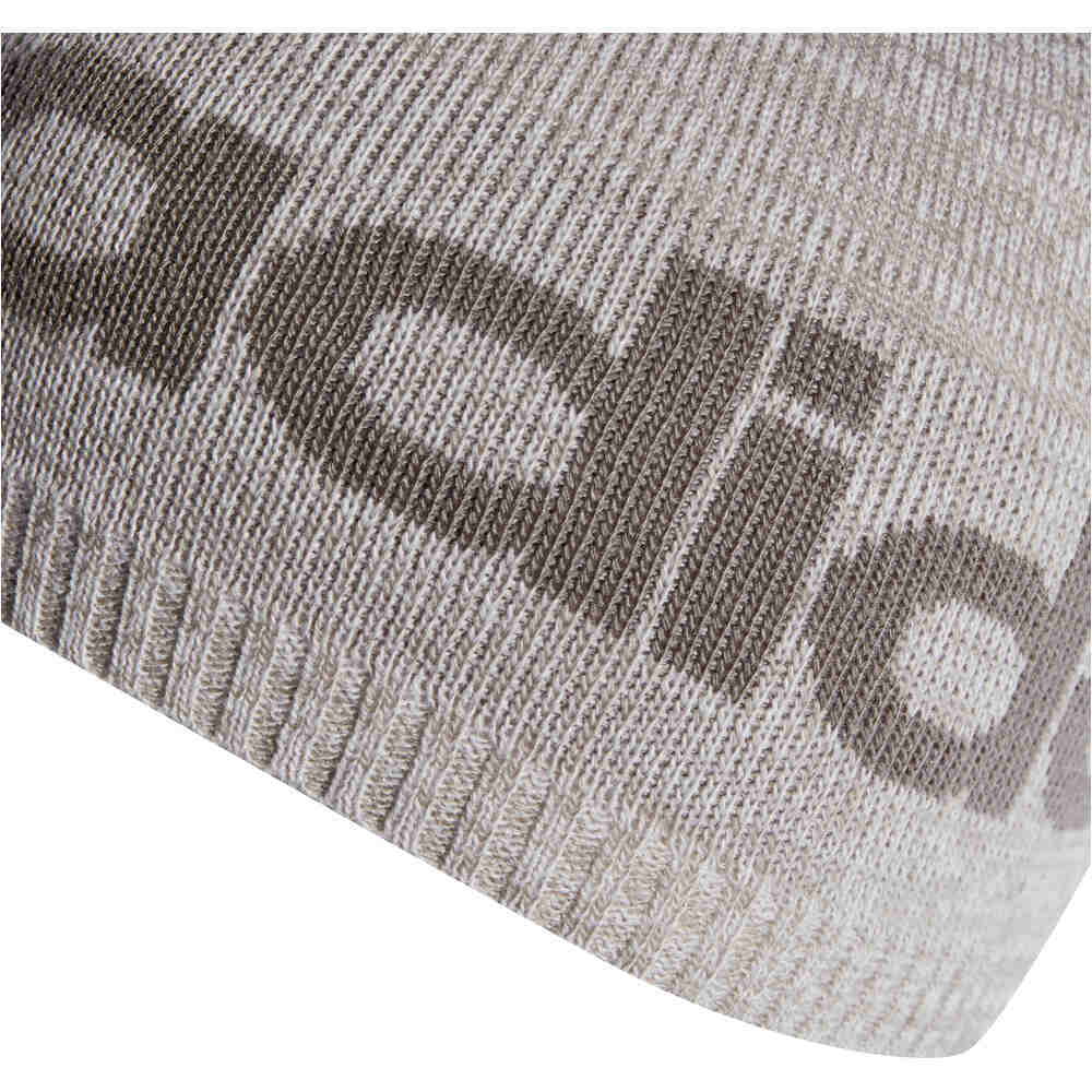 adidas gorro esquí hombre DAILY BEANIE LT 03